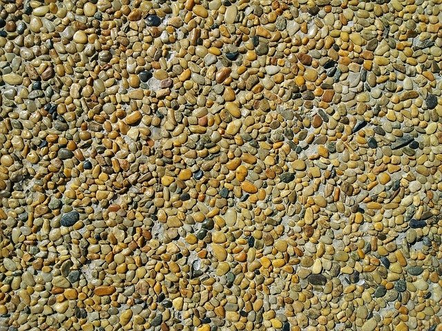 Part 1: Seeds on the&nbsp;Road